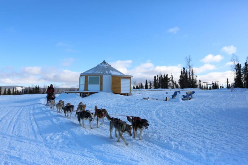 Fairbanks: 1-Hour Alaskan Winter Dog Sledding Adventure - Comparing This Tour to Other Alaskan Adventures