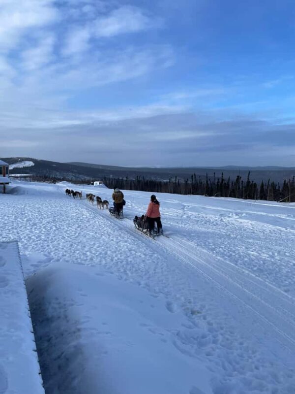 Fairbanks: 2-Hour Basic Dog Mushing School - Key Points