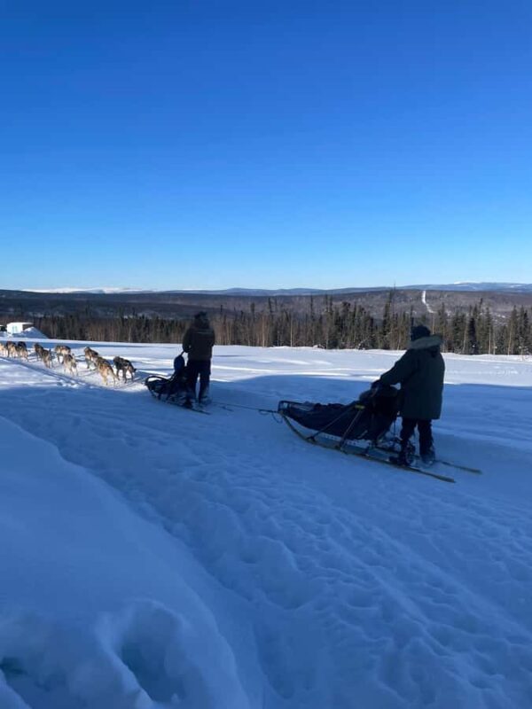 Fairbanks: 2-Hour Basic Dog Mushing School - Meeting at the Alaska Dog Kennel in Fairbanks