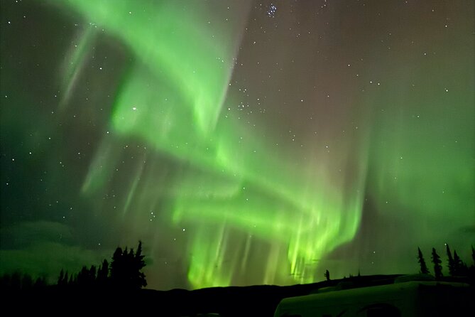 Fairbanks Alaska Luxury Car Private Tour - Key Points