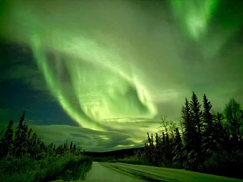 Fairbanks: Arctic Circle Tour with Northern Lights Hunt - Key Points