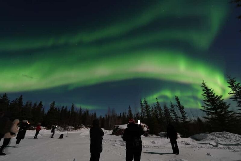 Fairbanks: Aurora Husky Lodge Aurora Viewing Tour - Logistics: Pickup and What to Bring