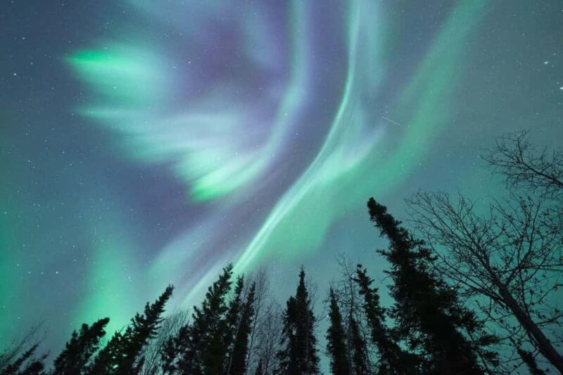 Fairbanks: Aurora Viewing Lodge - Key Points