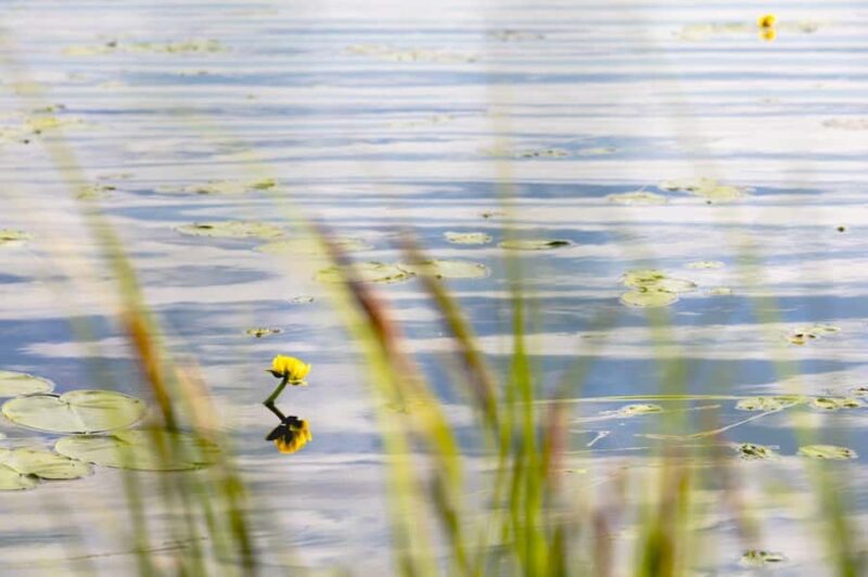 Fairbanks: Beauty of the North - Who Will Appreciate This Tour Most?