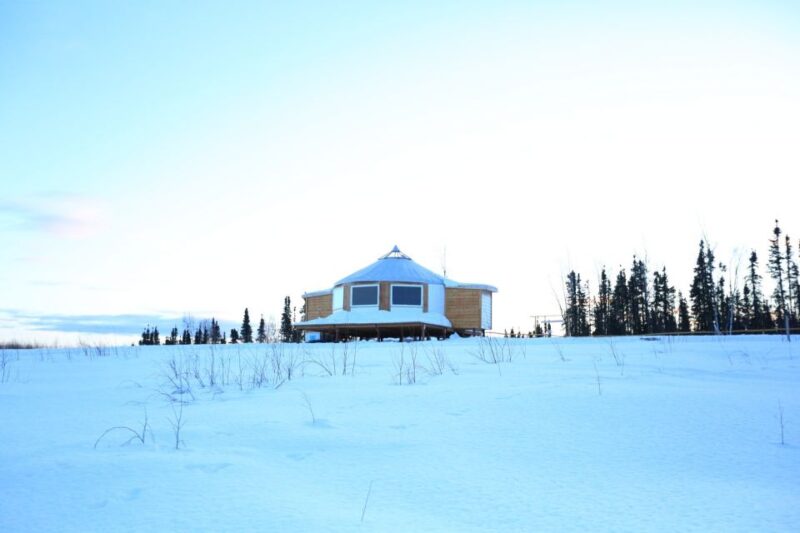 Fairbanks: Moonlight Dog Sled, Dinner & Northern Lights - Food Quality and Dinner Experience