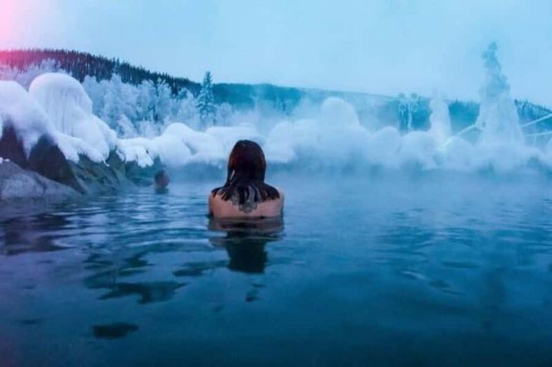 Fairbanks: Northern Lights & Chena Hot Springs Tour - Key Points