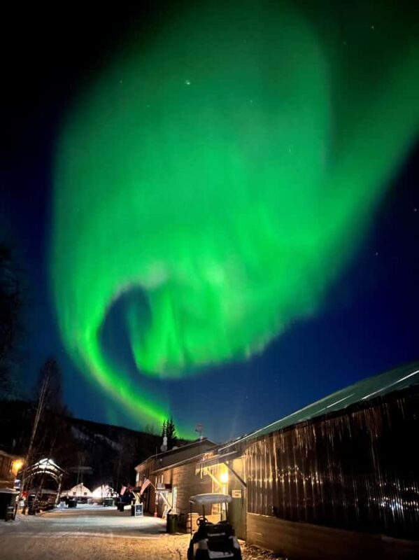 Fairbanks: Northern Lights & Chena Hot Springs Tour - Waiting for the Aurora Borealis: Best Viewing Tips