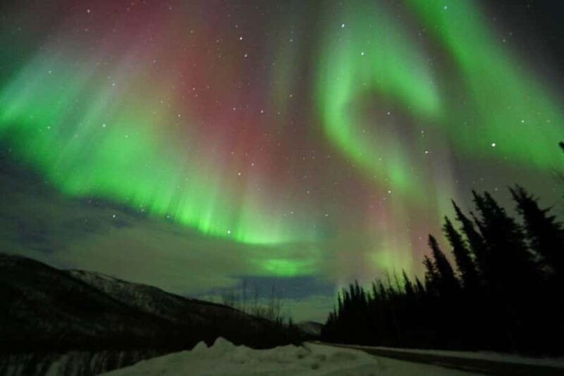 Fairbanks: Northern Lights & Chena Hot Springs Tour - The Role of the Guides and Their Local Knowledge