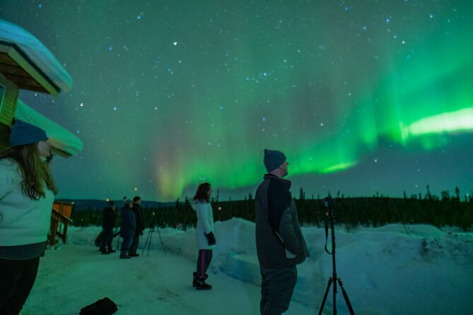 Fairbanks Northern Lights Tour - What to Expect at the Aurora Viewing Spots