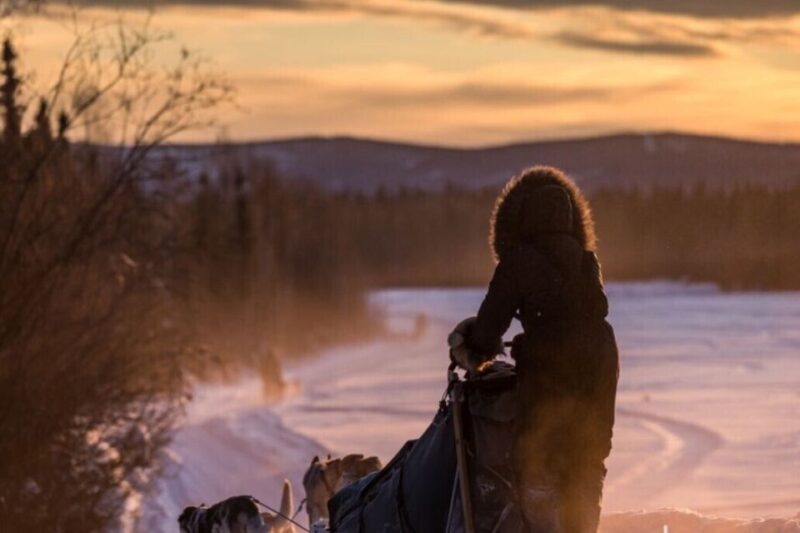 Fairbanks: Private Mush on the Historic Yukon Quest Trail - Discover the Authentic Fairbanks Dog Sledding Experience for $195