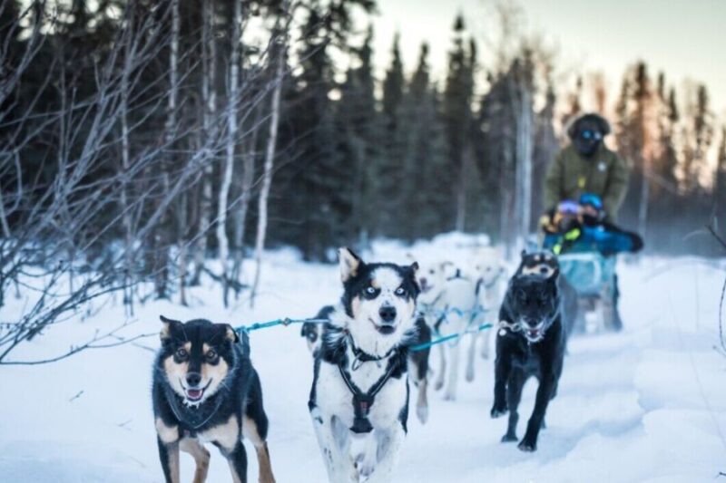 Fairbanks: Private Mush on the Historic Yukon Quest Trail - What’s Included in the Tour: Comfort and Convenience