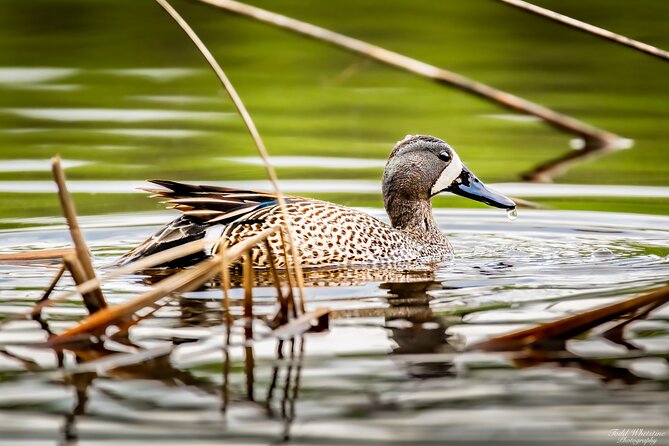 Fairbanks Private Photography Workshop - The Exclusivity of a Private Tour Format