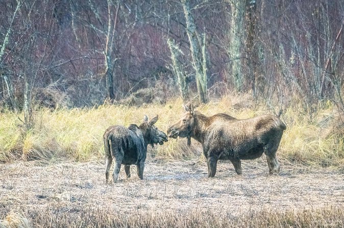 Fairbanks Private Photography Workshop - Included Amenities and Equipment for Your Photography Excursion