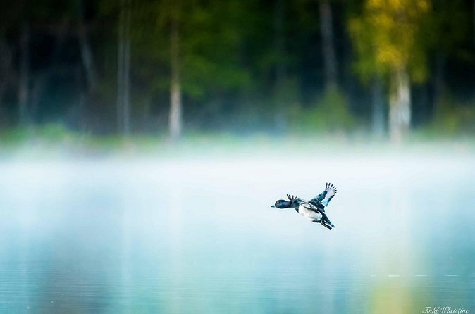 Fairbanks Private Photography Workshop - Frequently Asked Questions