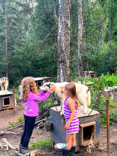 Fairbanks: Siberian Husky Kennel Tour - Meeting Point and Tour Logistics in Fairbanks