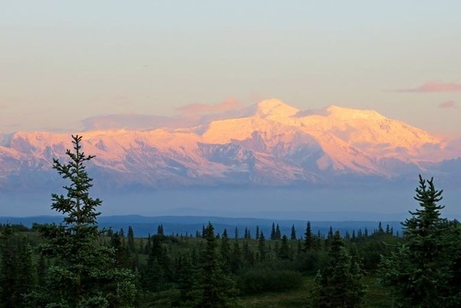 Fairbanks to Denali Shuttle Service - Comfort and Safety During the Trip