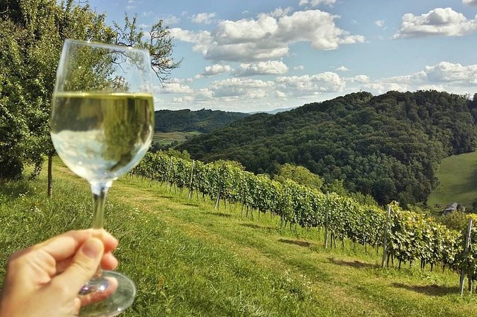 Fairytale Castle & Wine Tasting & Lunch - Considerations and Tips for Participants