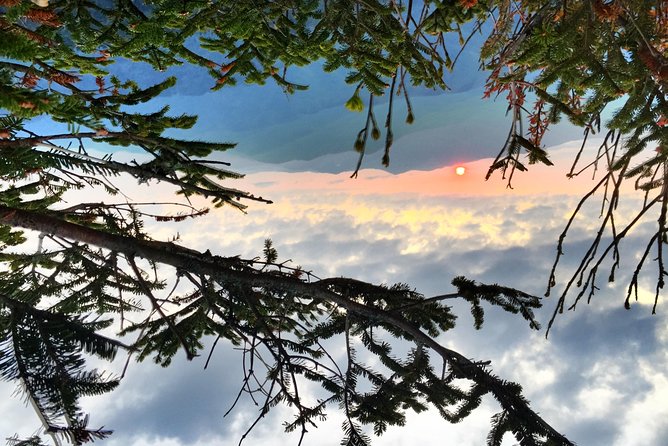 Fall Color Tour in the Smoky Mountains - Short Visit at Sugarlands Visitors Center