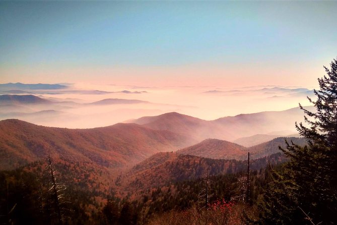 Fall Color Tour in the Smoky Mountains - Guided Walks and Scenic Drives in the Smoky Mountains