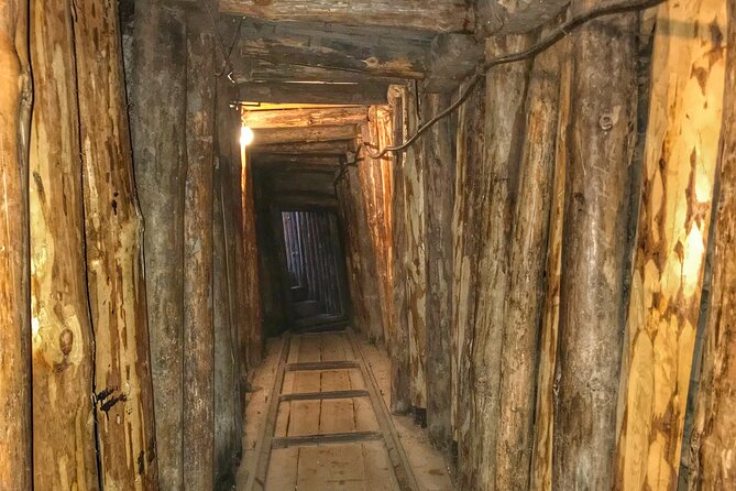 Fall of Yugoslavia, Sarajevo War Tour with Tunnel of Hope Museum and Frontlines - Walking Through Sniper Alley and War-Scarred Buildings