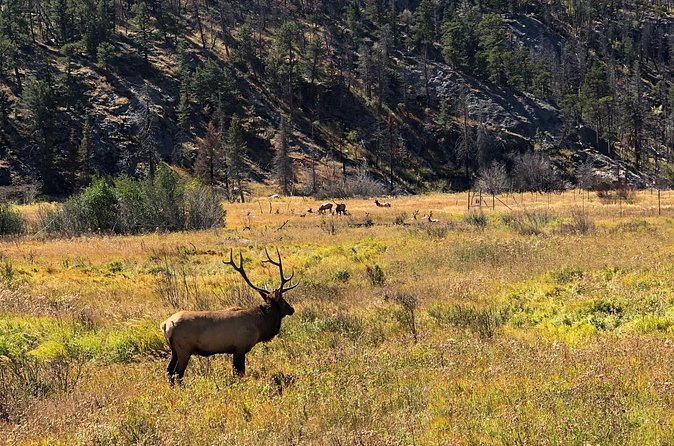 Fall Private Elk Rut Rocky Mountain National Park Tour - Visiting the Alpine Visitor Center at the Highest Point