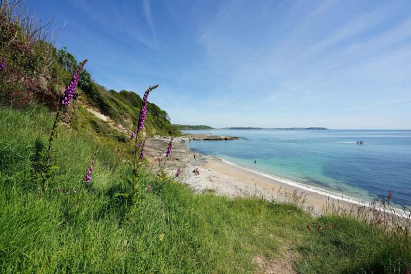 Falmouth: Afternoon Cream Tea Half-day Tour & Marazion Visit - Frequently Asked Questions