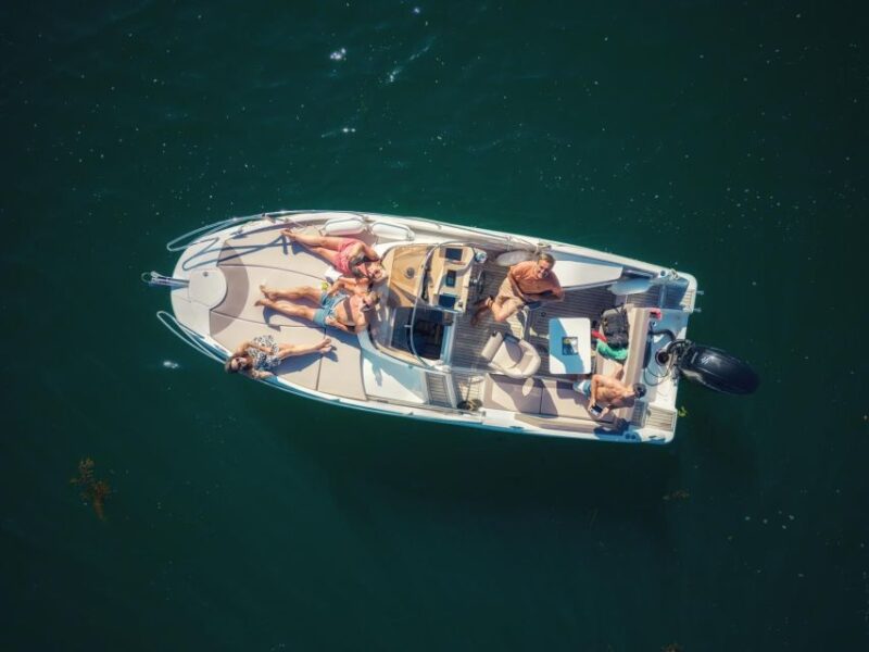 Falmouth Bay, Cornwall: Private Skippered Speed Boat Trip - Wildlife Watching and Marine Life Encounters
