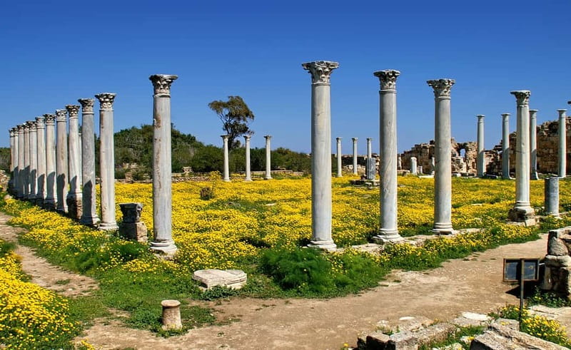 Famagusta & Salamis with Italian-speaking Guide - Explore Cyprus’s Historic Coastal Towns and Ancient Ruins with an Italian Guide