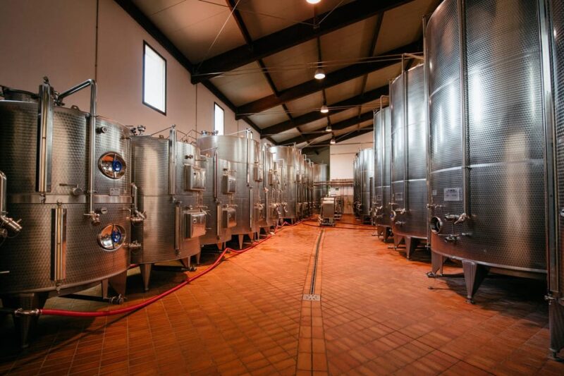 FAMIGLIA COTARELLA, NEAR ORVIETO WINE TASTE AND VISIT - Key Points