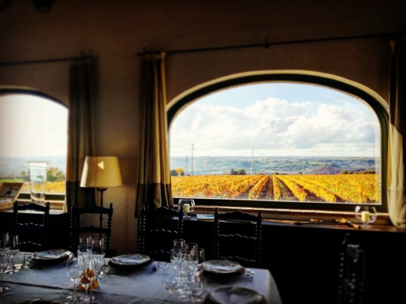 FAMIGLIA COTARELLA, NEAR ORVIETO WINE TASTE AND VISIT - The Unique Appeal of the Umbrian Countryside Setting