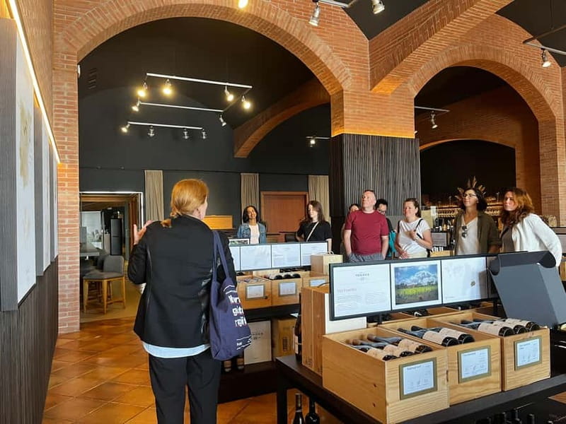 Familia Torres Winery: Gastronomic Tapas & Wine Experience - Vineyards and Grape Varieties in Penedès