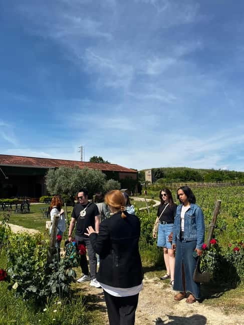Familia Torres Winery: Gastronomic Tapas & Wine Experience - Tasting Four Wines: A Curated Selection