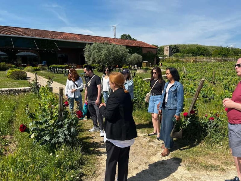 Familia Torres Winery: Gastronomic Tapas & Wine Experience - The Value of the Guided Tour Experience