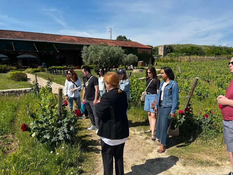 Familia Torres Winery: Gastronomic Tapas & Wine Experience - Additional Features and Optional Shopping