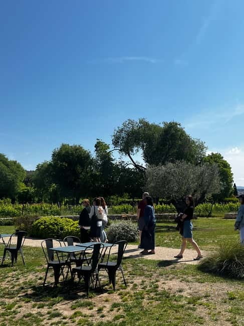 Familia Torres Winery: Gastronomic Tapas & Wine Experience - Suitability for Different Visitors