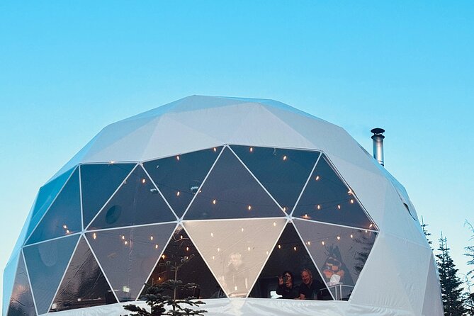 Family Après Dome and Sleigh Ride in Whistler - Family Après Dome and Sleigh Ride in Whistler: A Cozy Winter Escape for Families