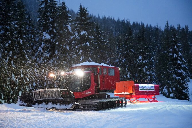 Family Après Dome and Sleigh Ride in Whistler - Private Backcountry Dome as the Cozy Centerpiece