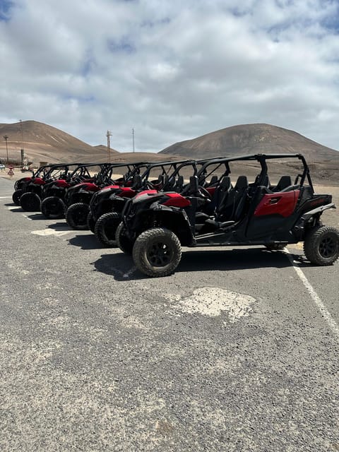 Family buggy - 4 seats, on road tour - Accessibility and Additional Information