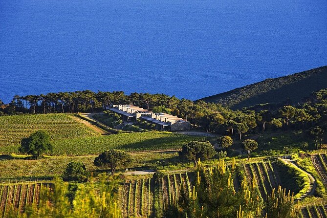 Family E-Bike Tour in the Costa dei Gabbiani Nature Reserve - Starting Point at Elba MTB Capoliveri