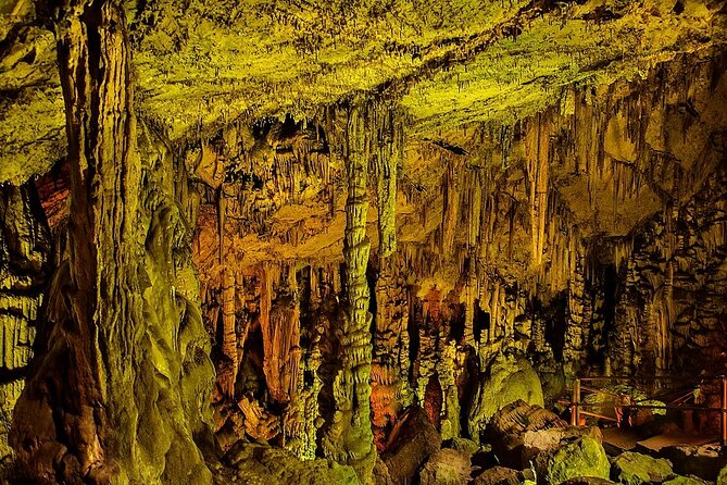 Family Excursion: From Sea Wonders to Mythical Realms Adventure - Key Points