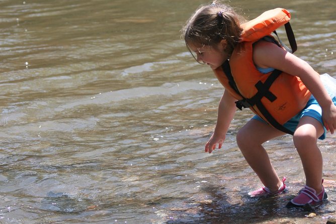Family Float (FREE Lunch, Digital Photo, and Wetsuit Use) - The Role of Expert Guides in Shaping the Experience