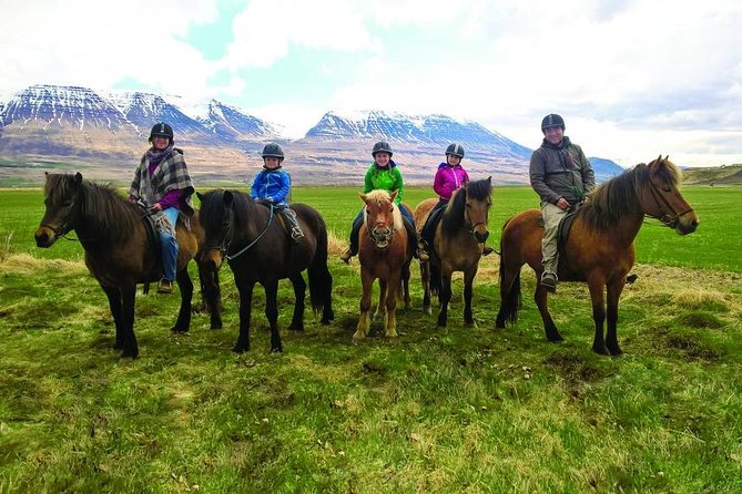 Family Friendly Horse Riding Tour in Skagafjörður - Discover the Family-Friendly Horseback Riding Experience in Skagafjörður
