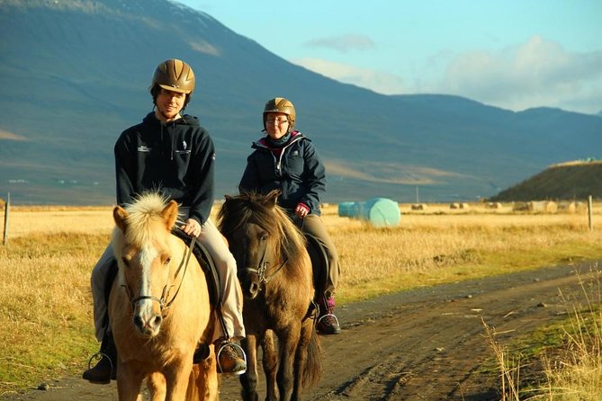 Family Friendly Horse Riding Tour in Skagafjörður - The Tour Starts at Hestasport Reception in Varmahlíð