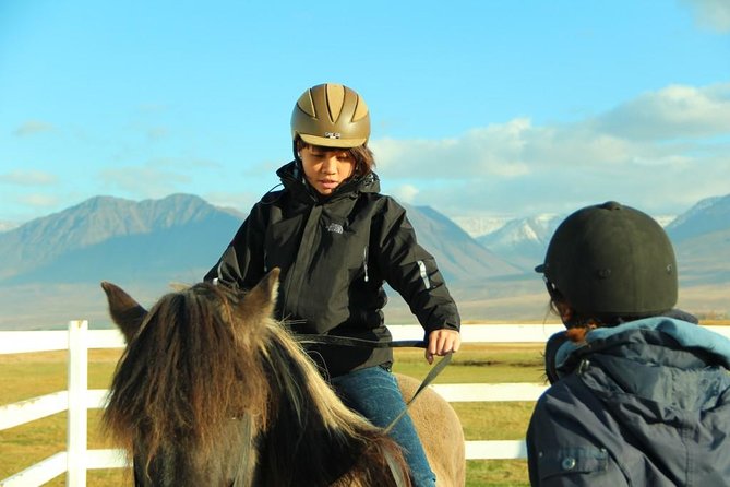 Family Friendly Horse Riding Tour in Skagafjörður - The Horses: Gentle and Well-Trained