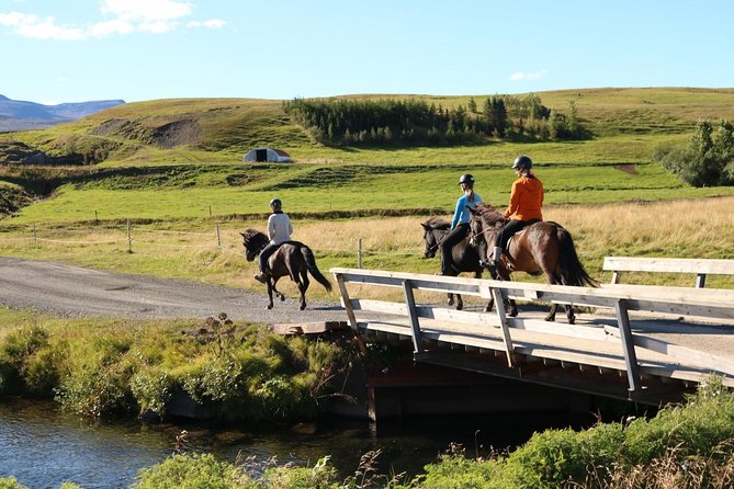 Family Friendly Horse Riding Tour in Skagafjörður - Gear Rental and Warmth: No Hidden Costs