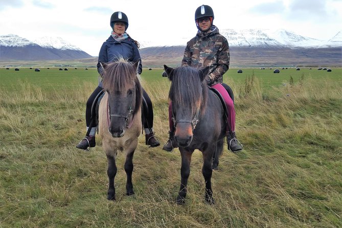 Family Friendly Horse Riding Tour in Skagafjörður - Highly Praised Guides and Customer Satisfaction