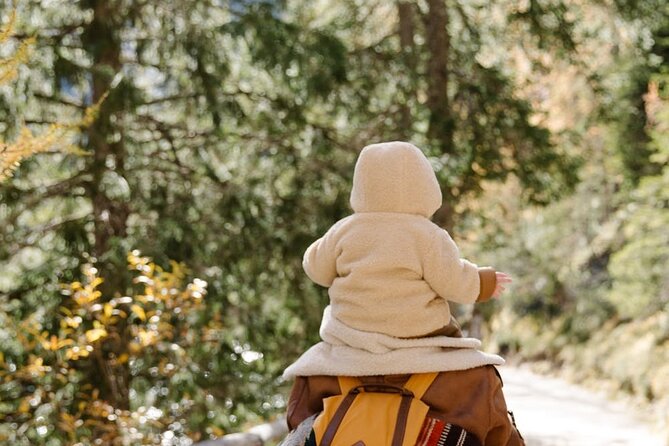 Family-Friendly Nature Hike around the Big Bear Valley - Key Points