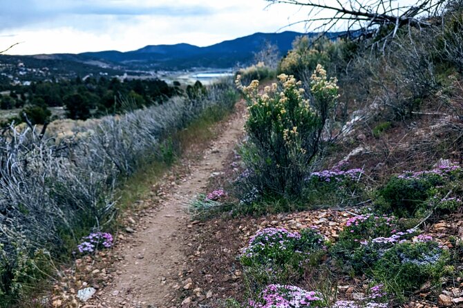 Family-Friendly Nature Hike around the Big Bear Valley - Interacting with the Forest: Wild Plant Tasting and Animal Tracks
