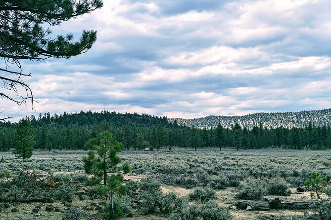 Family-Friendly Nature Hike around the Big Bear Valley - The Guide’s Approach: Friendly, Knowledgeable, and Enthusiastic