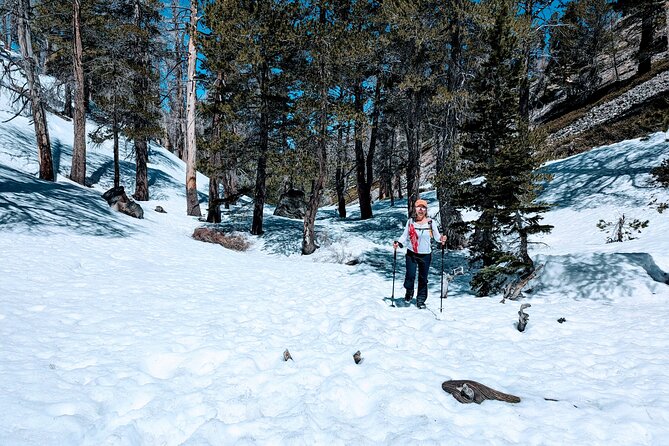 Family-Friendly Nature Hike around the Big Bear Valley - Cost and Value: A Budget-Friendly Family Outing